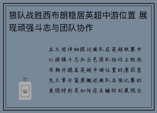 狼队战胜西布朗稳居英超中游位置 展现顽强斗志与团队协作